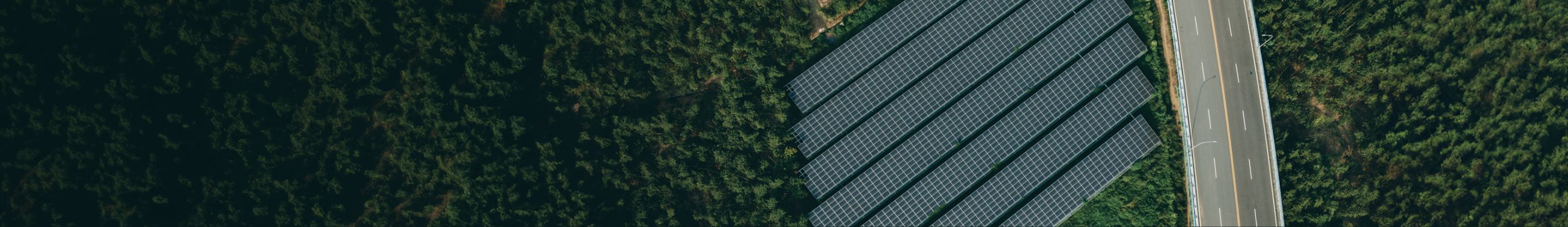 Business Sustainability