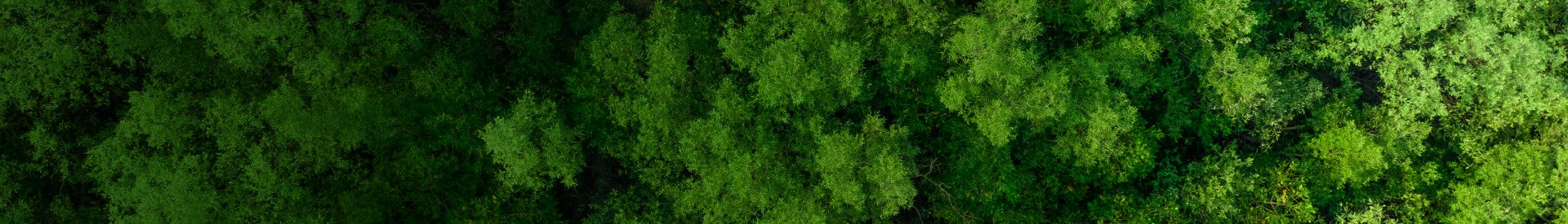 Business Sustainability